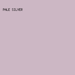 CCB7C4 - Pale Silver color image preview