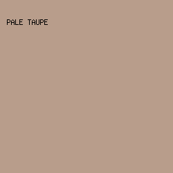 B89D8B - Pale Taupe color image preview