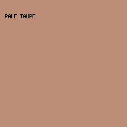 BD8E77 - Pale Taupe color image preview