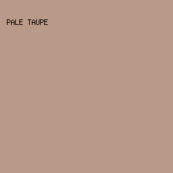 b99987 - Pale Taupe color image preview