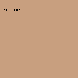 c89f7f - Pale Taupe color image preview