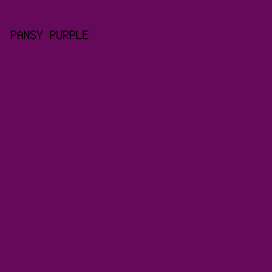 66095A - Pansy Purple color image preview