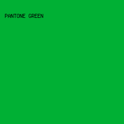 00B034 - Pantone Green color image preview