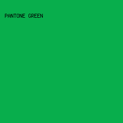 08AE4C - Pantone Green color image preview