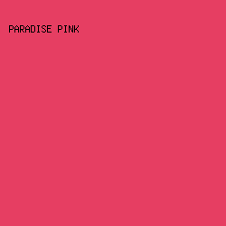 E63E62 - Paradise Pink color image preview