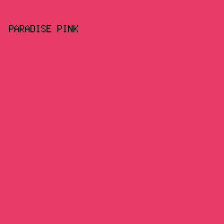 e93b68 - Paradise Pink color image preview
