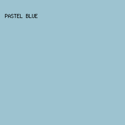9DC3D0 - Pastel Blue color image preview