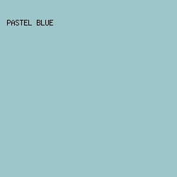 9DC6CA - Pastel Blue color image preview