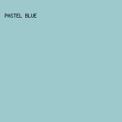 9DC9CC - Pastel Blue color image preview