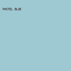 9EC8D2 - Pastel Blue color image preview