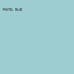 9ECDD1 - Pastel Blue color image preview
