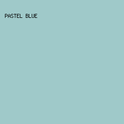 9FC9C9 - Pastel Blue color image preview