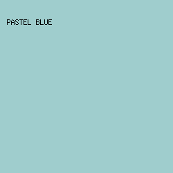 9FCDCD - Pastel Blue color image preview