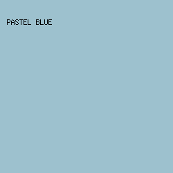 9dc1ce - Pastel Blue color image preview