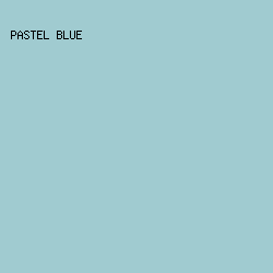 A0CBD0 - Pastel Blue color image preview