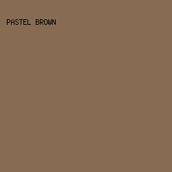876B52 - Pastel Brown color image preview
