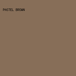 876E58 - Pastel Brown color image preview