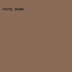 8A6B58 - Pastel Brown color image preview