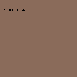 8A6B5A - Pastel Brown color image preview