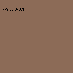 8C6B57 - Pastel Brown color image preview