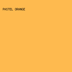 FEBA4F - Pastel Orange color image preview