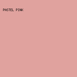 E0A29E - Pastel Pink color image preview