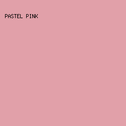 E1A0A9 - Pastel Pink color image preview