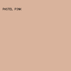 d9b39c - Pastel Pink color image preview