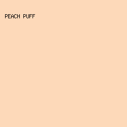 FDD9B9 - Peach Puff color image preview