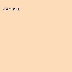 FDDAB8 - Peach Puff color image preview