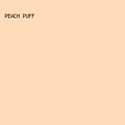 FEDCB9 - Peach Puff color image preview