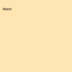 FEE5B2 - Peach color image preview