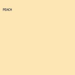 FEE5B4 - Peach color image preview