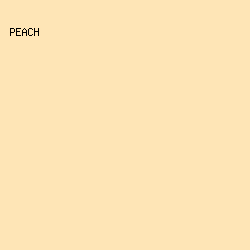 FEE5B6 - Peach color image preview