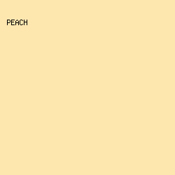 FEE6AF - Peach color image preview