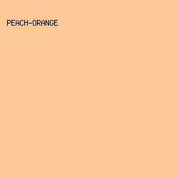 fcca98 - Peach-Orange color image preview