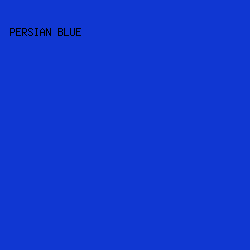 1037D2 - Persian Blue color image preview