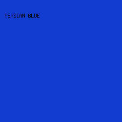 113ccf - Persian Blue color image preview