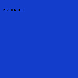 133DCB - Persian Blue color image preview