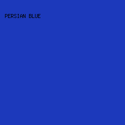 1C39BB - Persian Blue color image preview