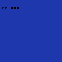 1F37AD - Persian Blue color image preview