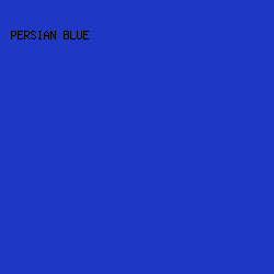 1e38c3 - Persian Blue color image preview