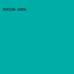 00ADA7 - Persian Green color image preview