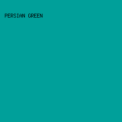 00a09a - Persian Green color image preview