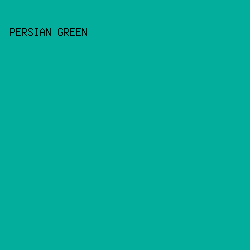 04ae9d - Persian Green color image preview