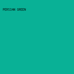 09B196 - Persian Green color image preview