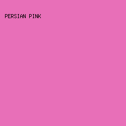 E86FB8 - Persian Pink color image preview