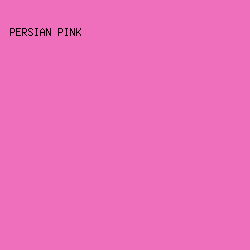 f06fbd - Persian Pink color image preview