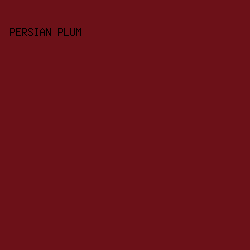 6C1118 - Persian Plum color image preview