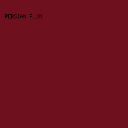 6E101D - Persian Plum color image preview